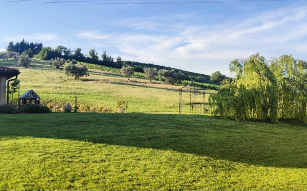 Colle Gelso, esterni. Tavolo da pranzo e pergolato