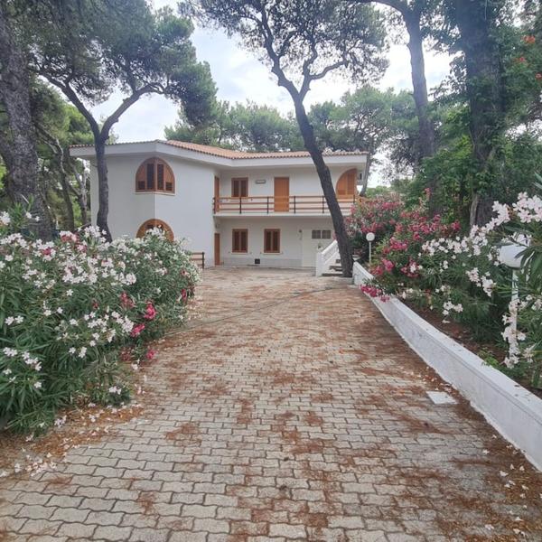  Villa Ofelia