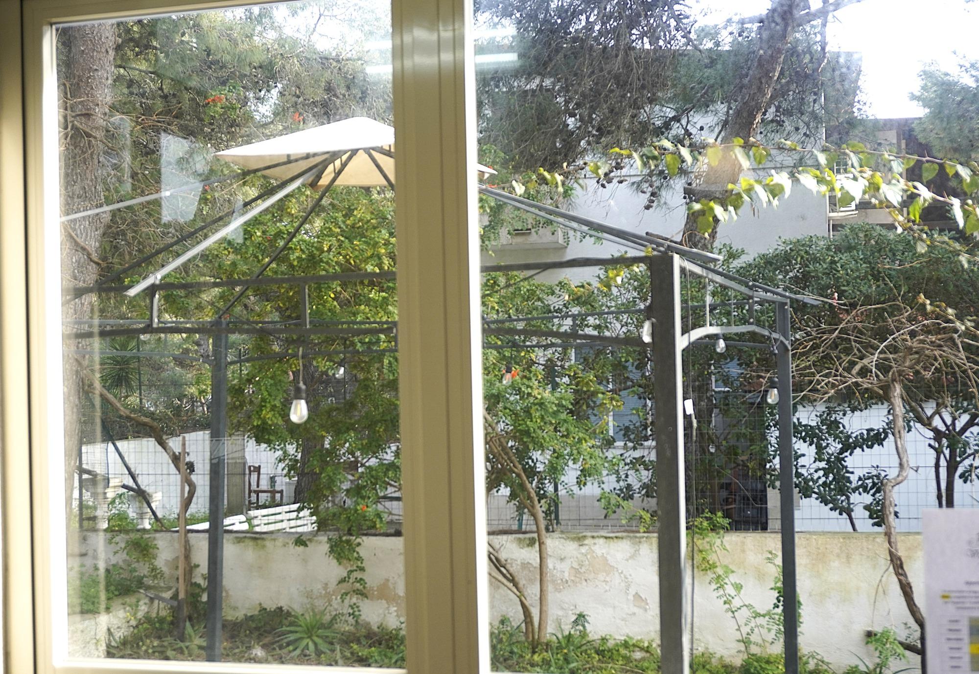 Villa Ofelia a Chiatona - finestre sul verde pineta