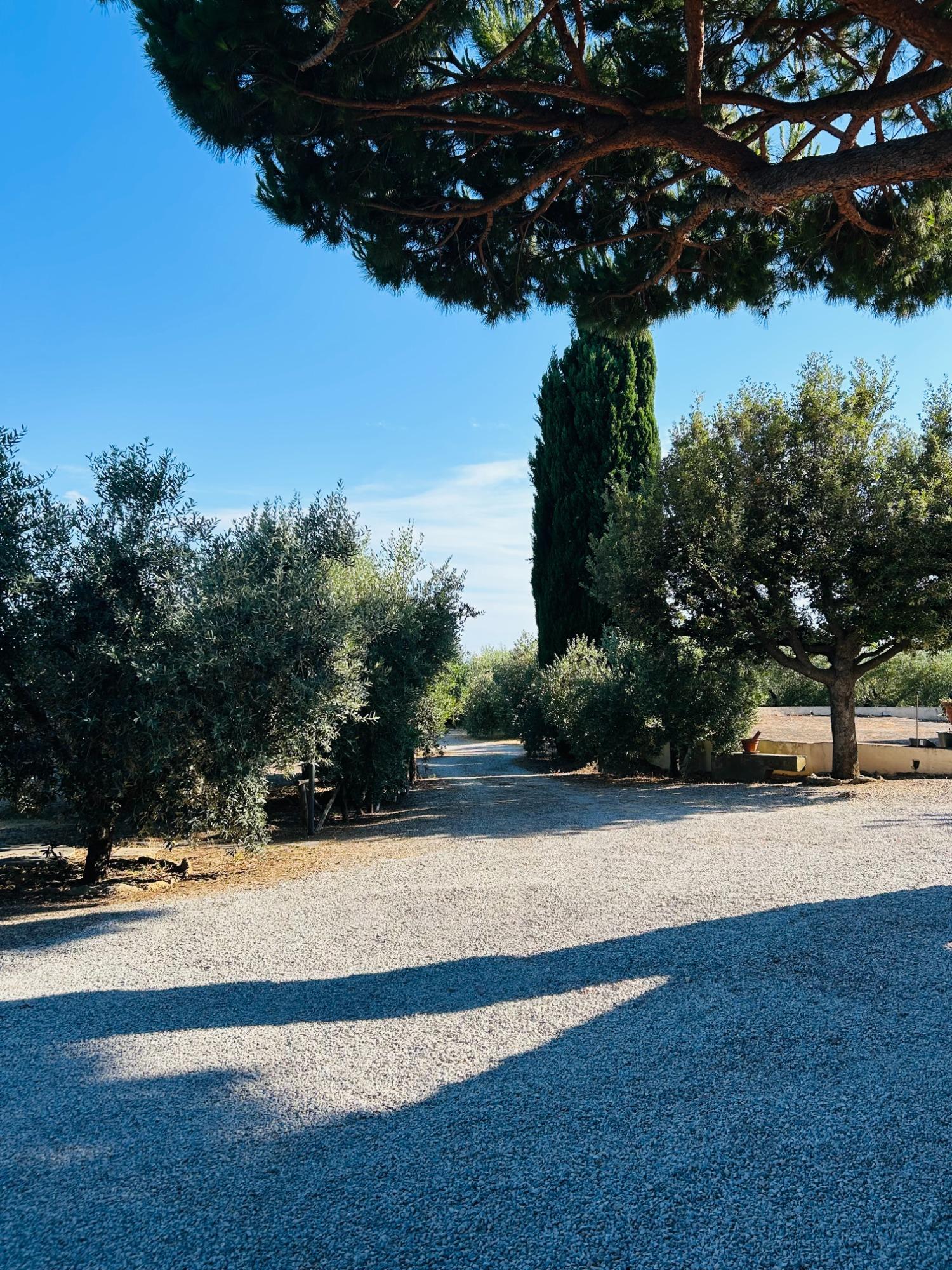 Vista dagli appartamenti Il Fienile e La Carraia