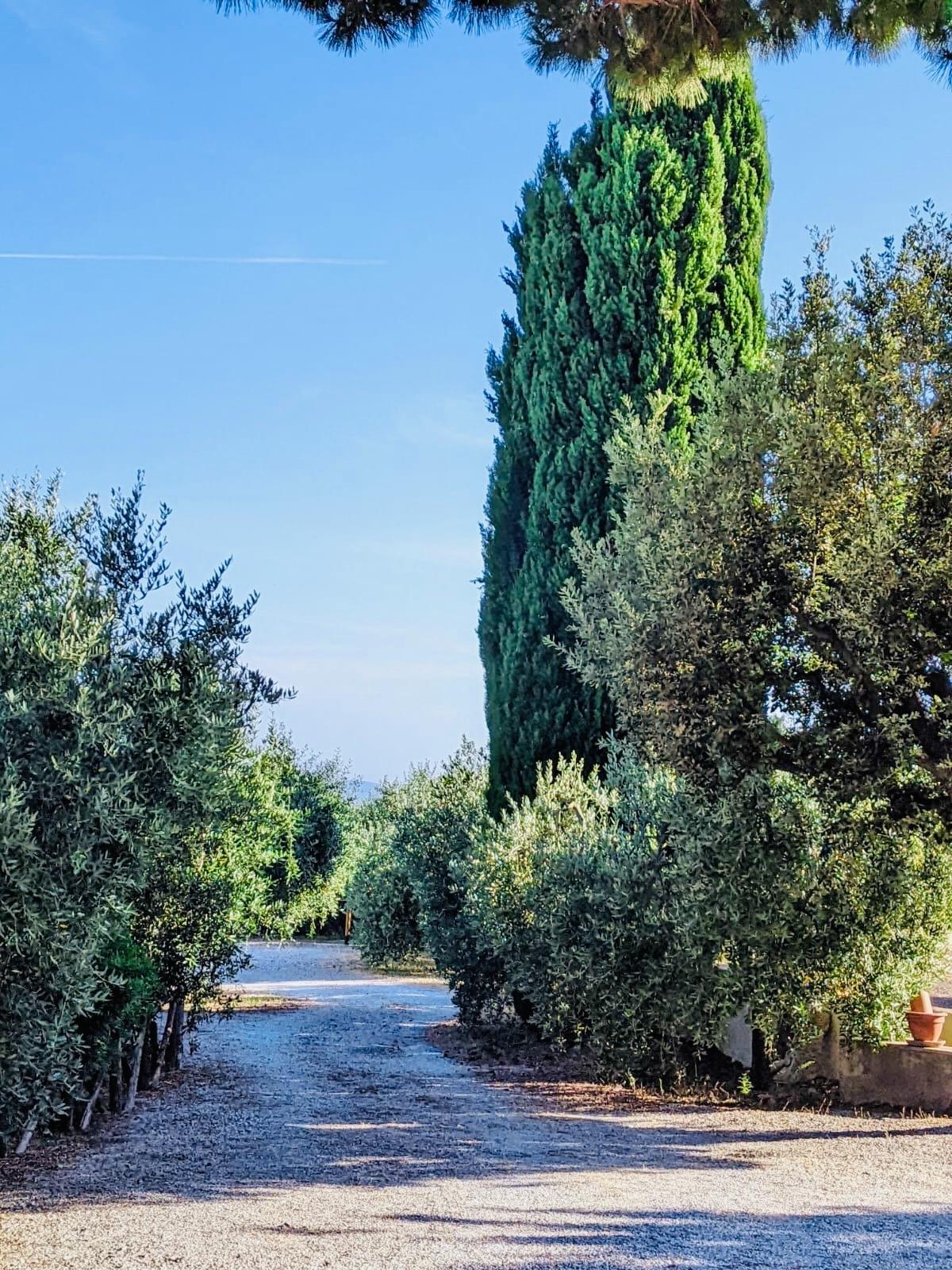 Il vialetto che conduce ai posti auto della struttura