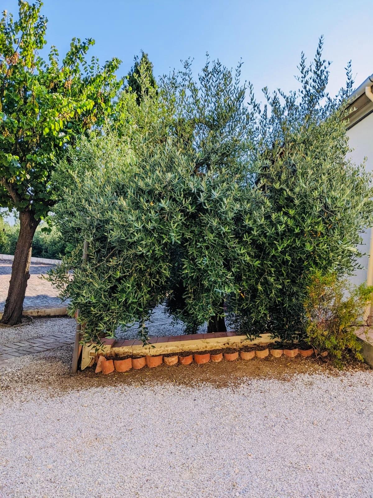 Scorcio dalla finestra del bilocale Il Fienile