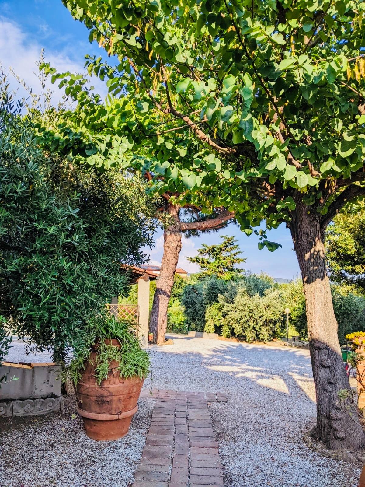 Scorci del nostro Podere