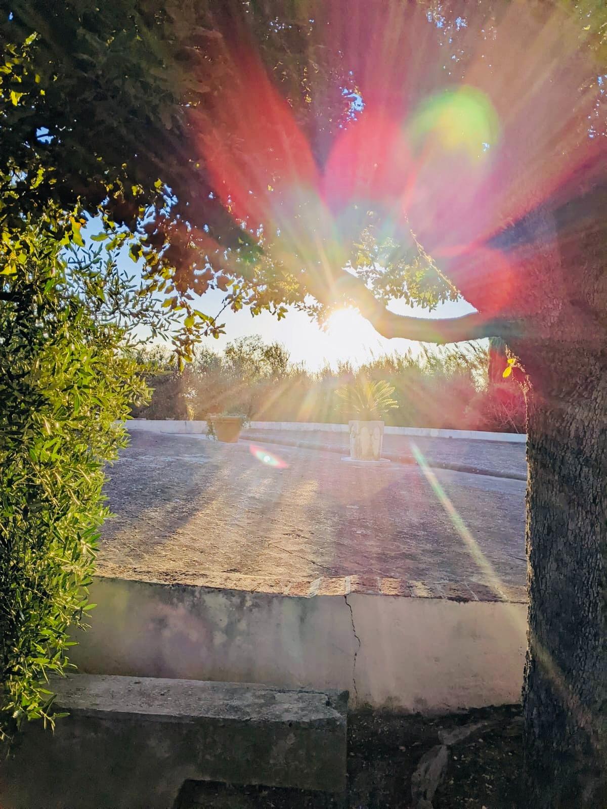 I nostri tramonti al Podere