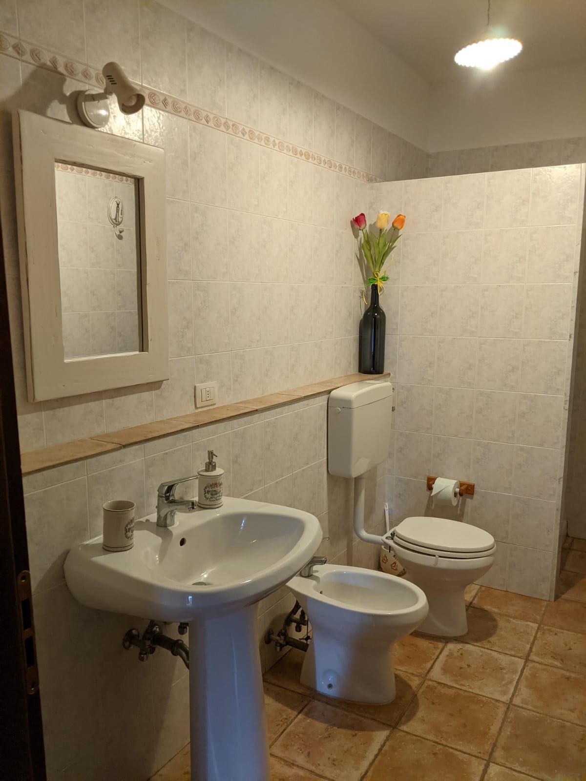 Il bagno del bilocale Il Fienile