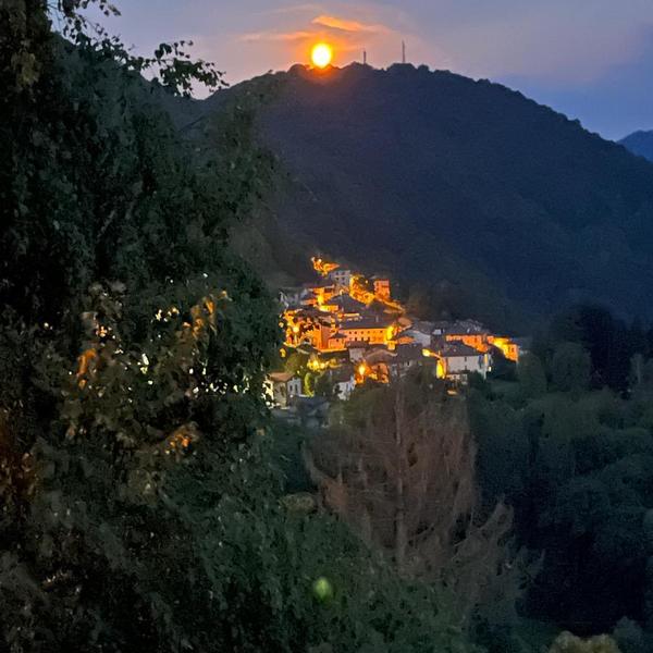  Cà Rosa