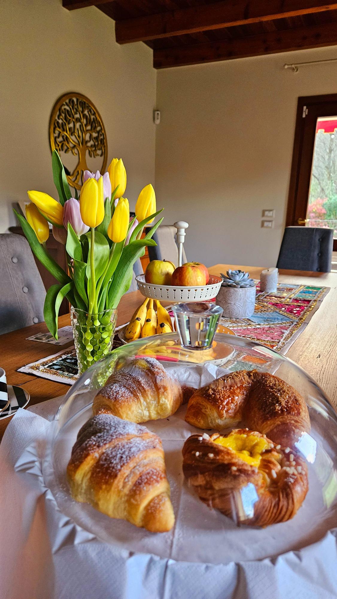 La colazione di B&B VILLA EUGANEA