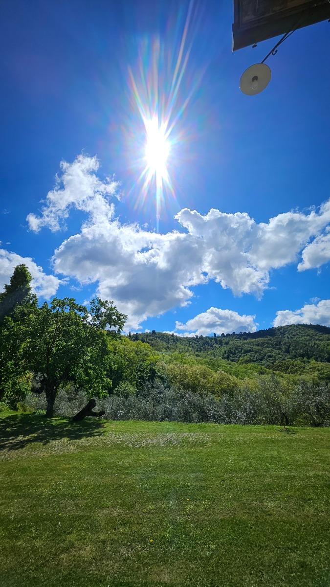 vista su giardino e parco privato