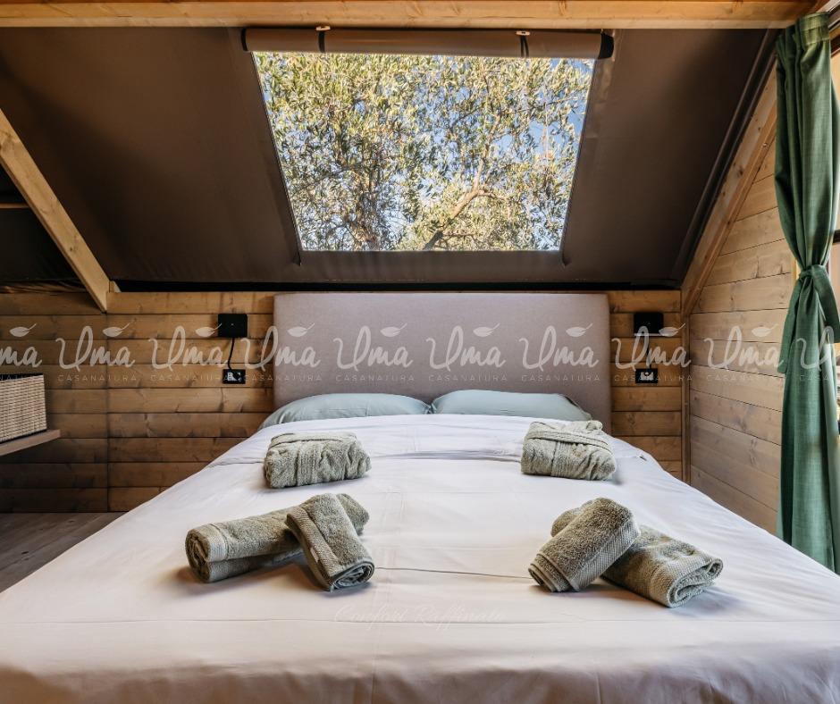 Room b&b Image