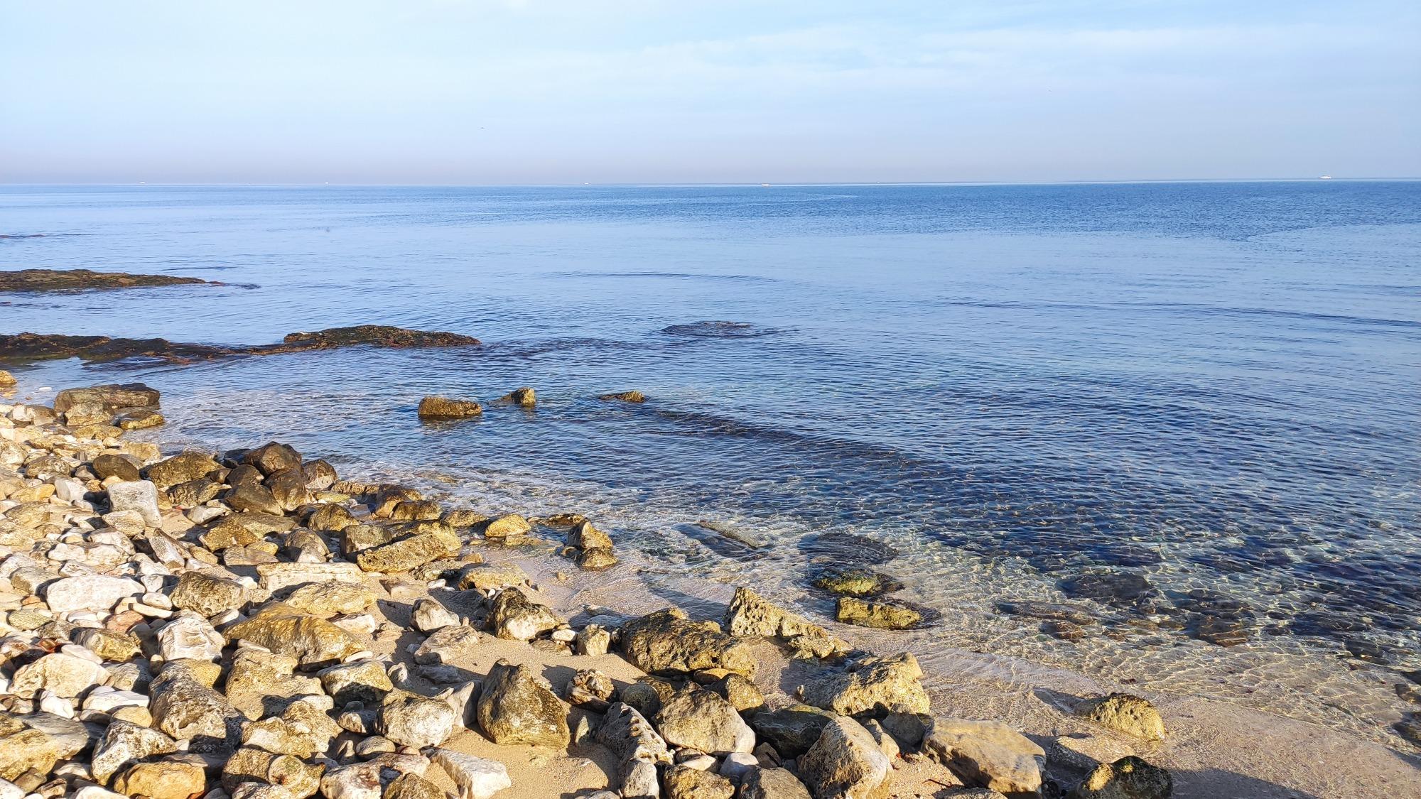Pasta fatta in casa orecchiette Bari