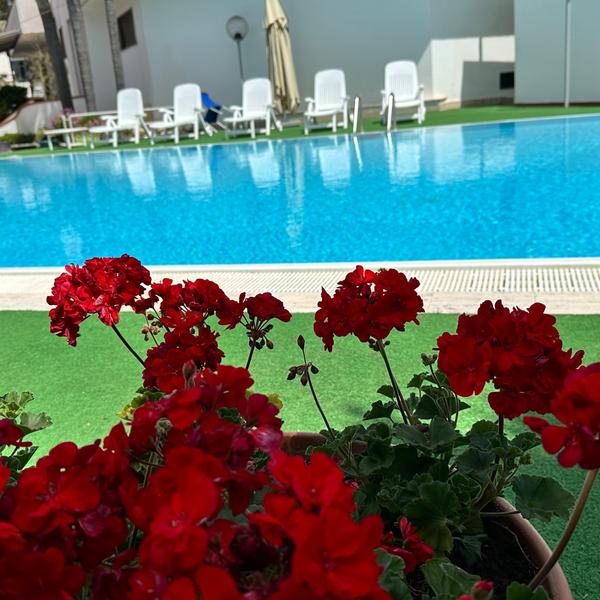  Hotel B&B Marina