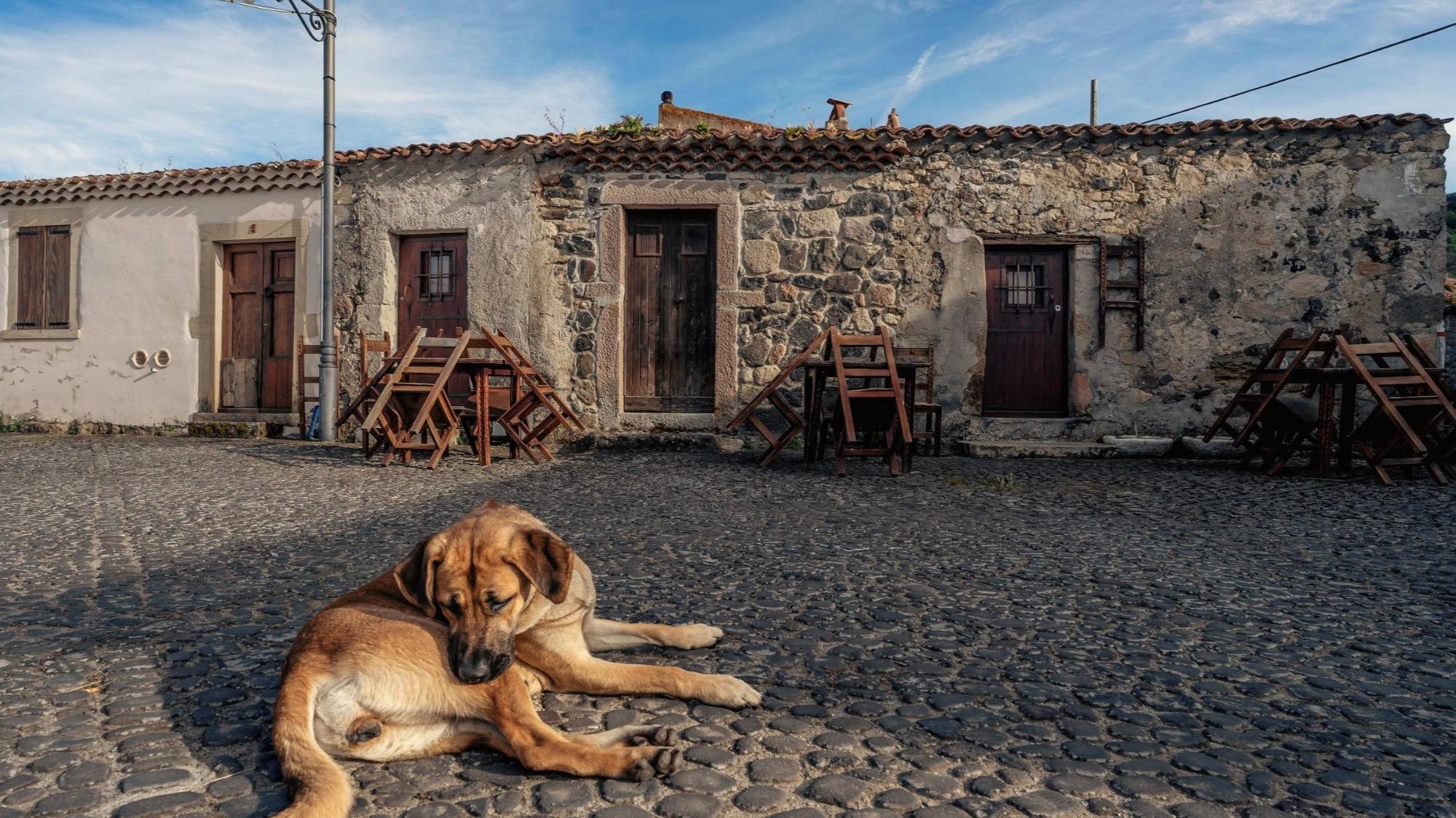 Rebeccu (foto Alessandra Cossu)