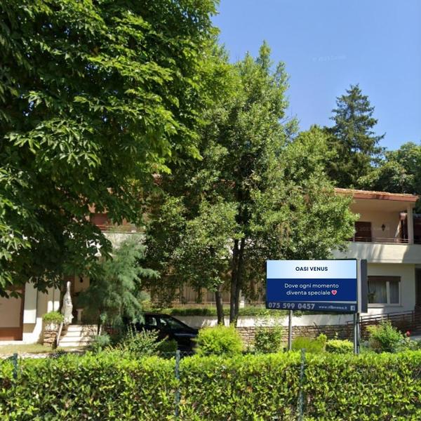  Oasi Venus