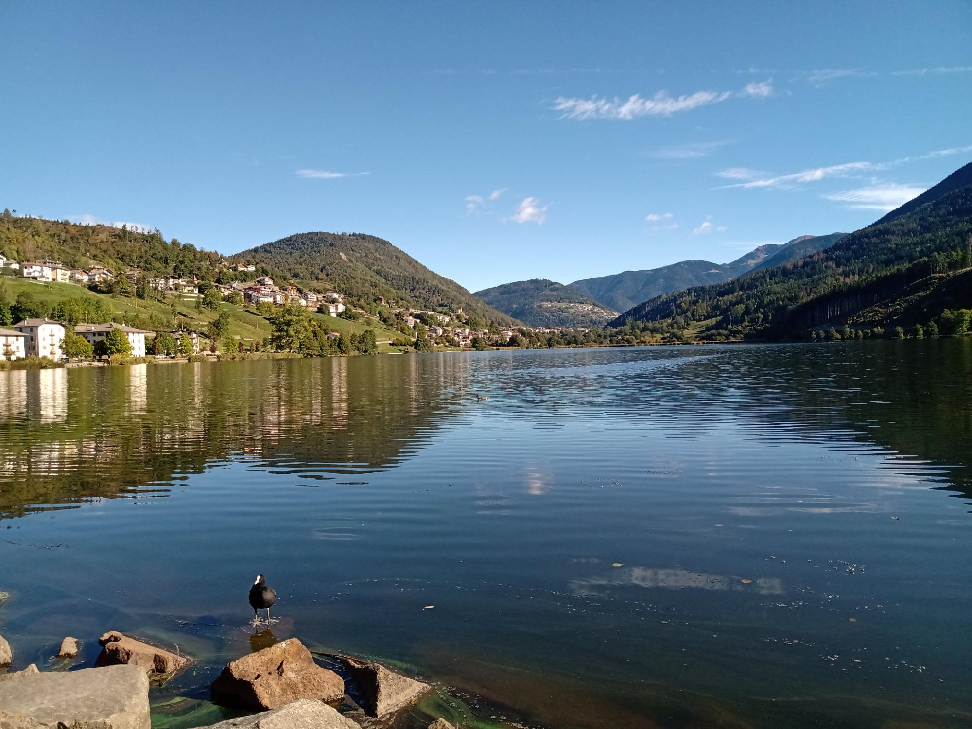 Abbiamo nei dintorni i laghi più belli, puliti e pittoreschi del Trentino: Caldonazzo e Levico, Serraia e Piazze, Canzolino e S. Colomba