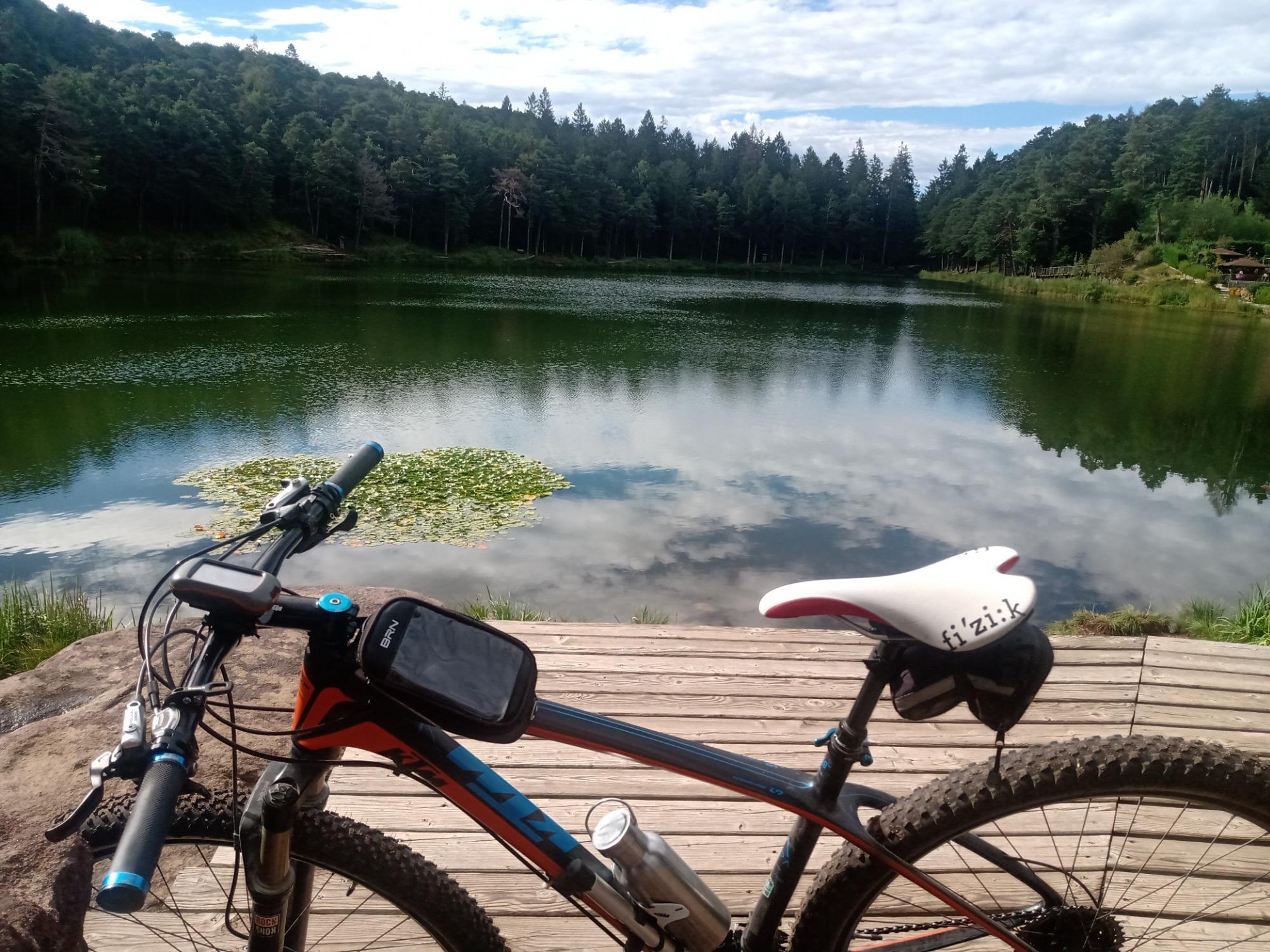 Andrea vi può consigliare progettare e accompagnare in tutti gli itinerari della zona a piedi e in bici essendo guida cicloturistica della UISP