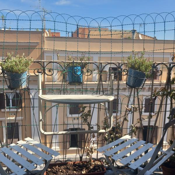  Sunny Rome With Private Bath, Kitchen And Balcony