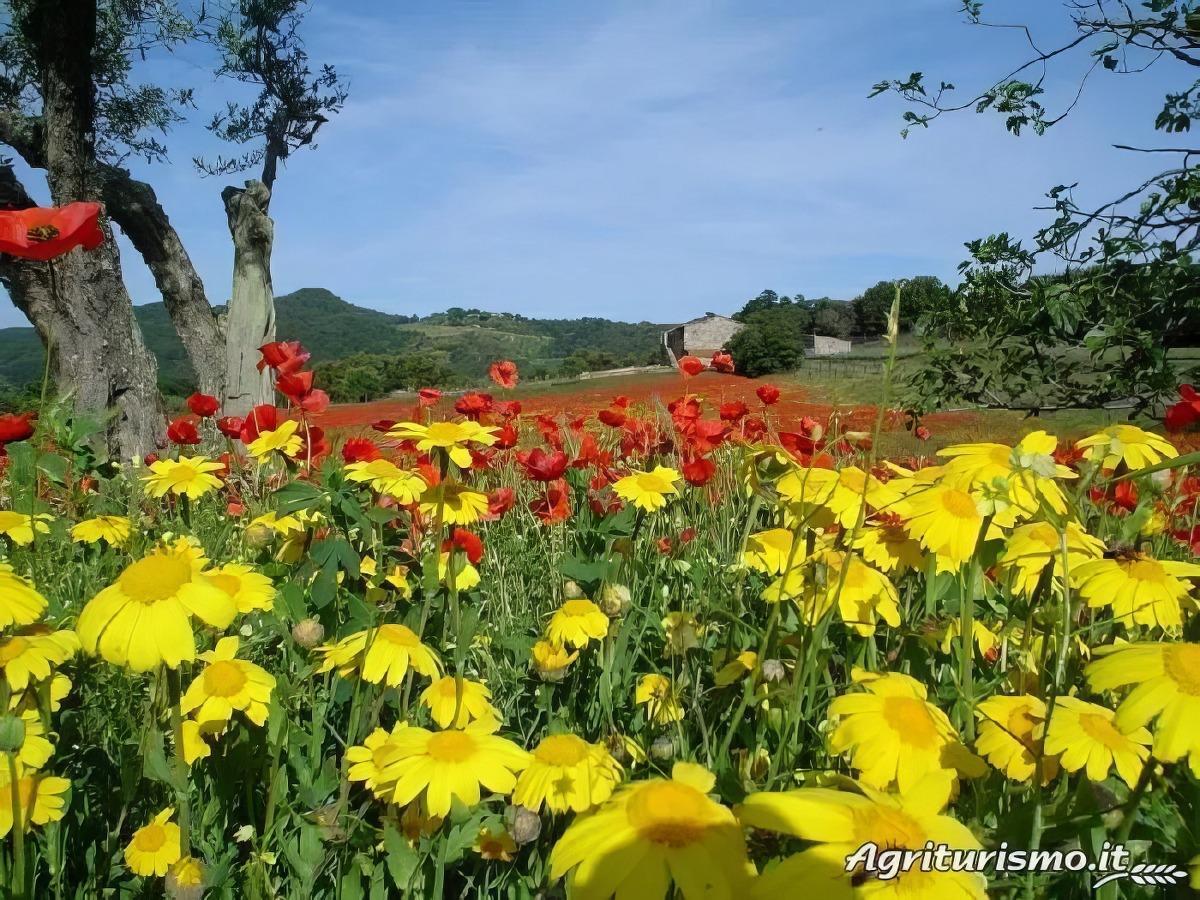 Primavera alla Landuccia