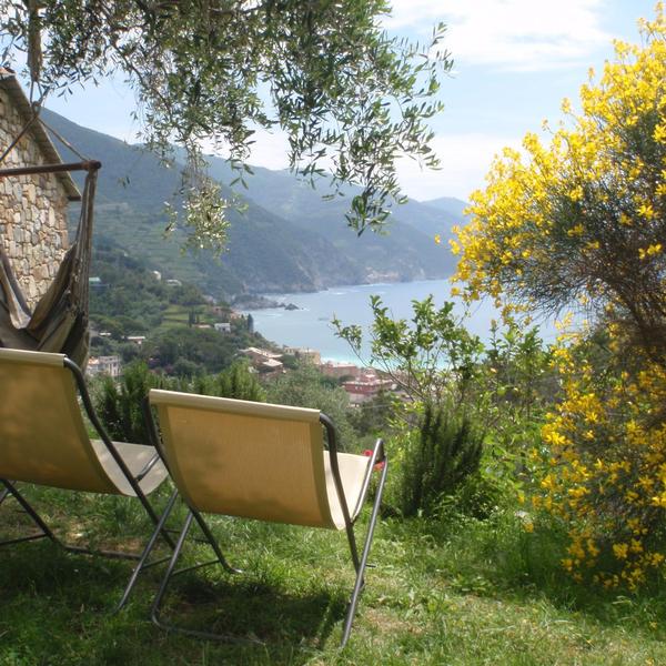  Uliveto Nel Parco