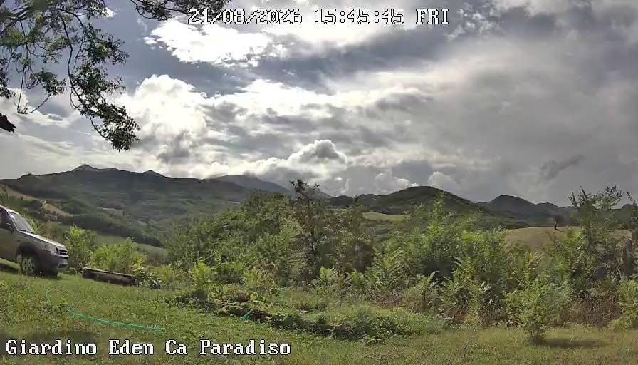Panorama