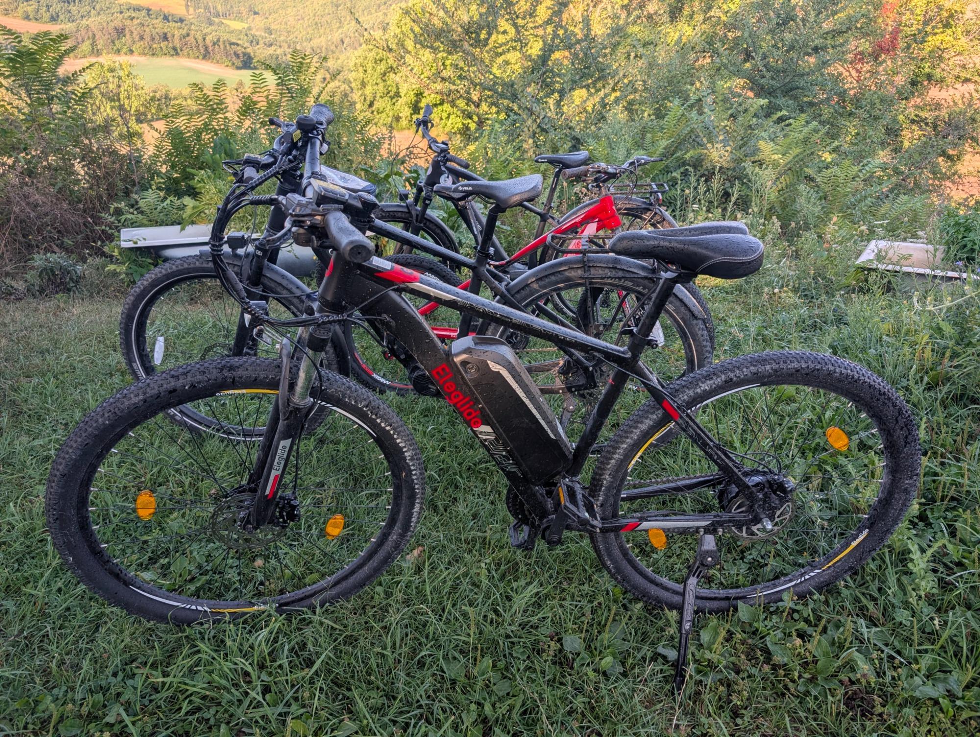 Bici elettriche disponibili a noleggio