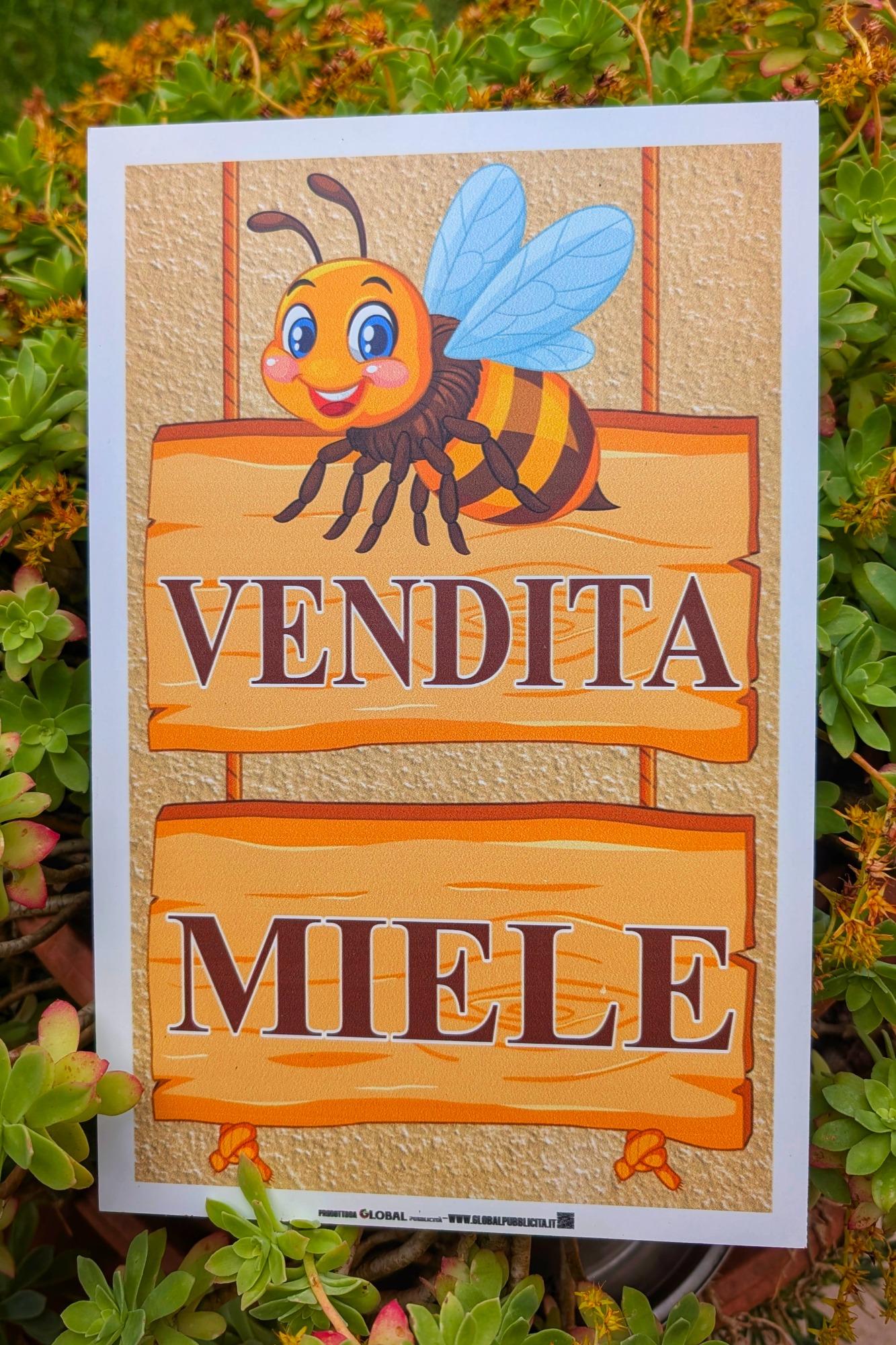 Vendita miele di produzione propria