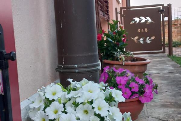 Maggese B&B