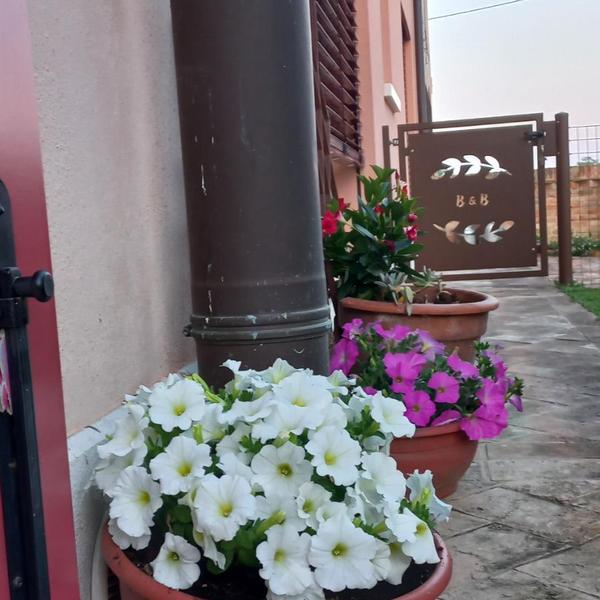  Maggese B&B