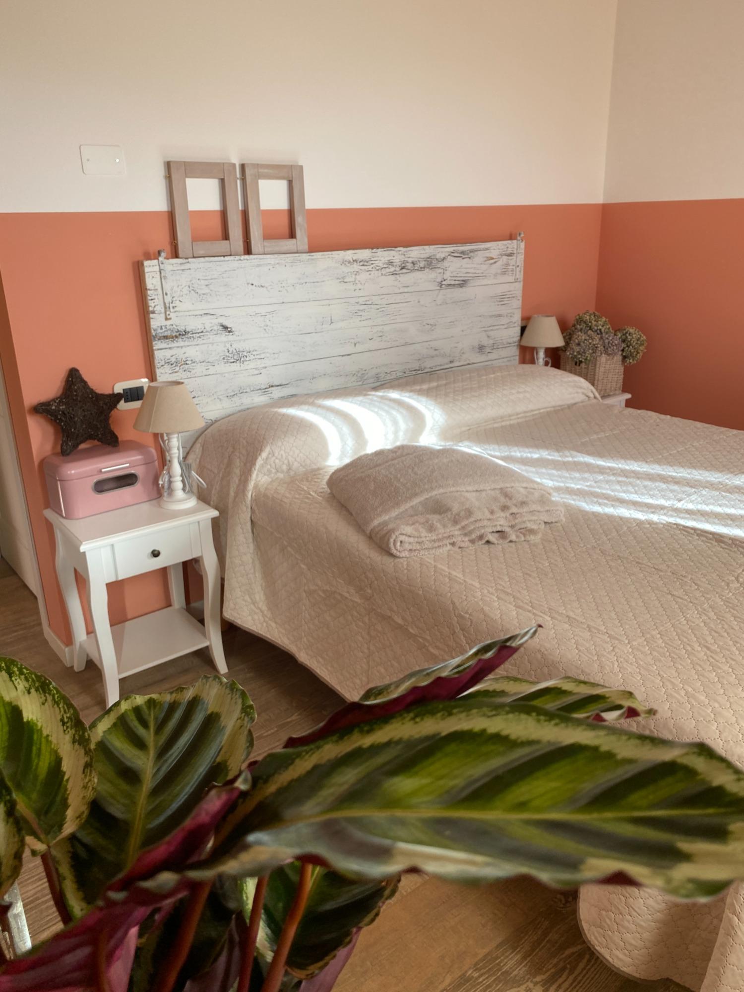 Room b&b Image