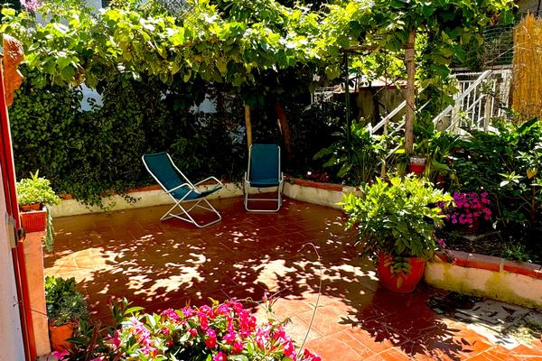 L'Orchidea del Faro