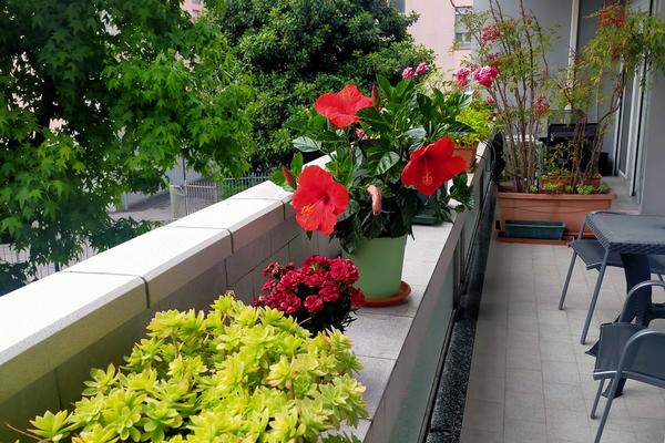 Balcone Fiorito 2