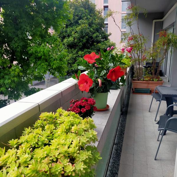  Balcone Fiorito 2