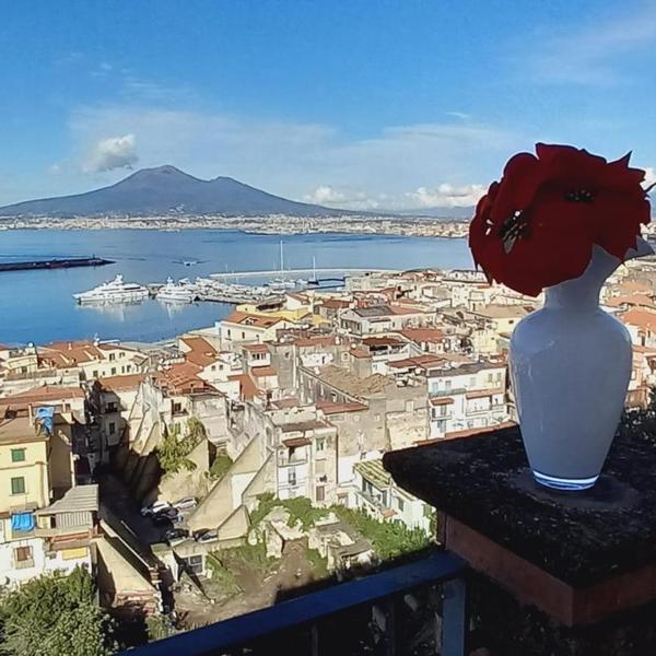  Stabia Gulfview