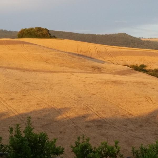  Podere San Luigi - Pet Friendly