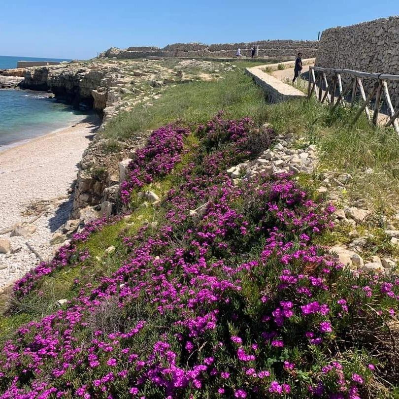 Cala Ripalta - Percorso Naturalistico