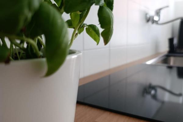 Rome Tiburtina Terrace Inn