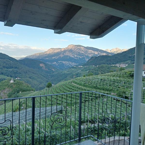  Le Foglie B&B