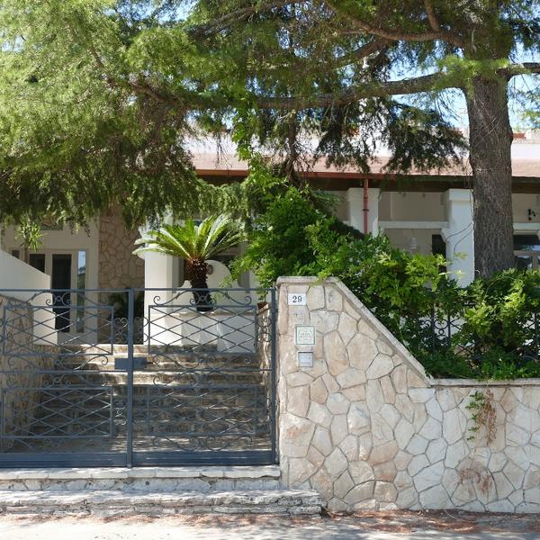 Alma Mater Affittacamere