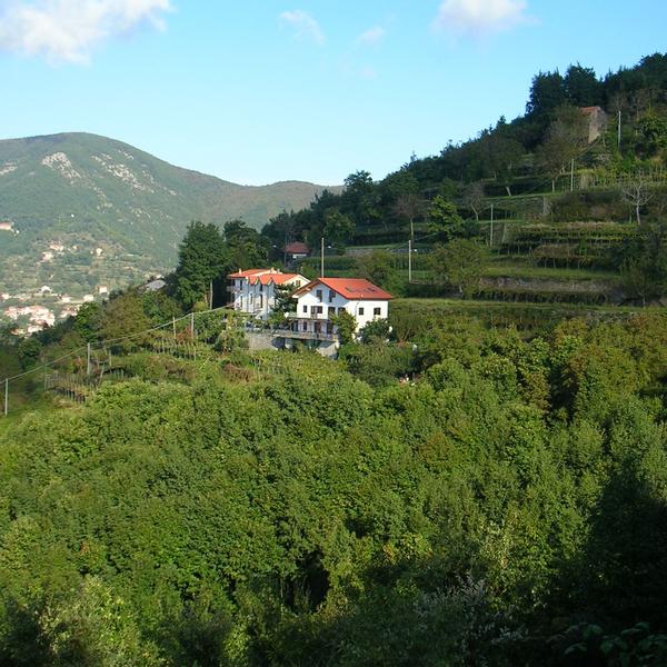 Agriturismo Il Castagno