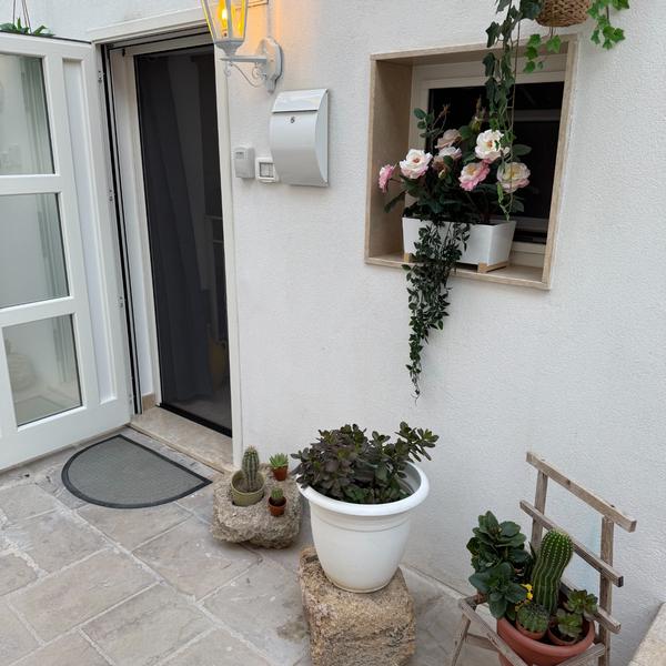  B&B Agrimi