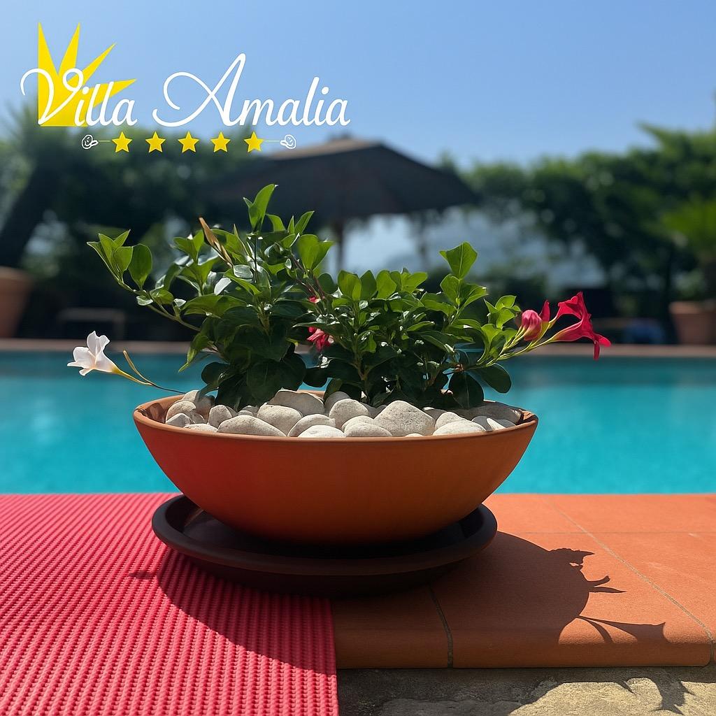 Amalia