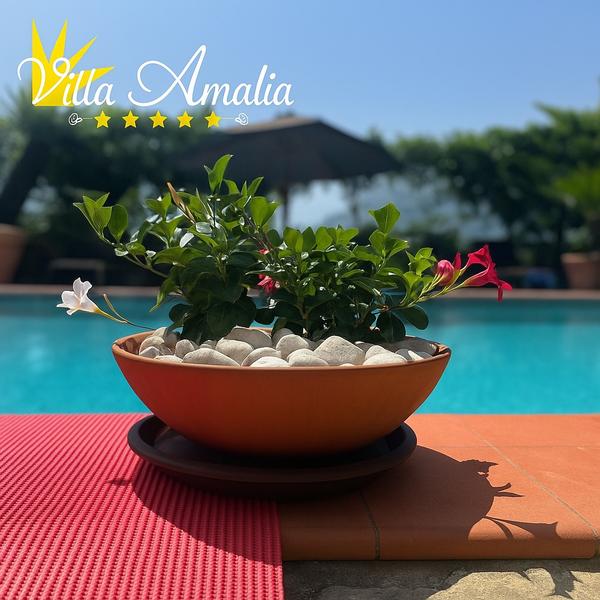  Villa Amalia