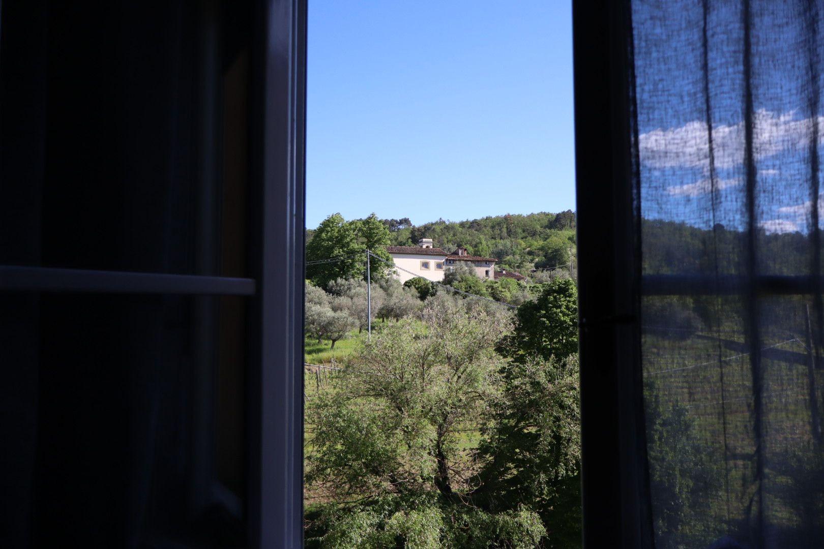 vista camera