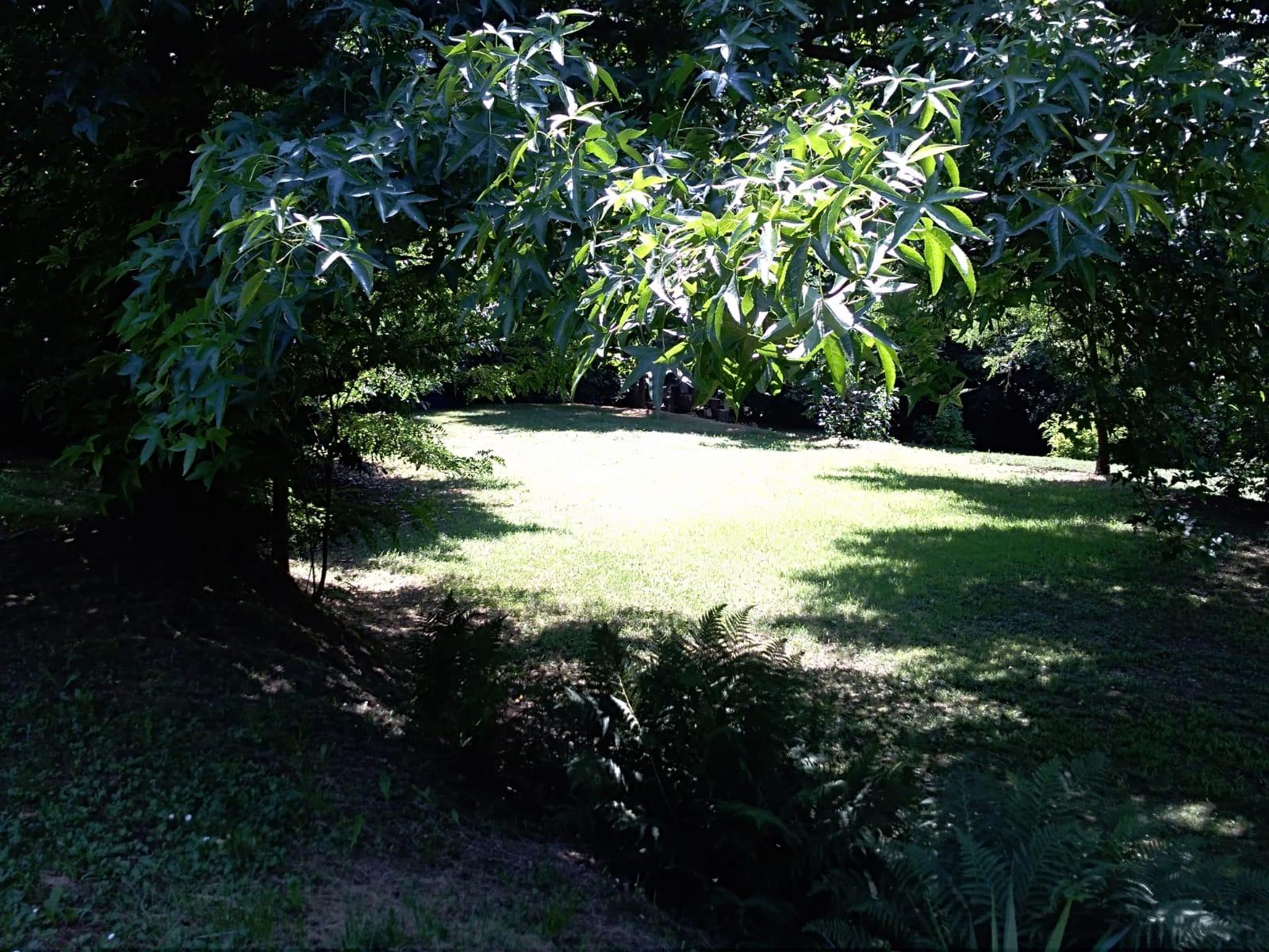 vista panoramica del giardino