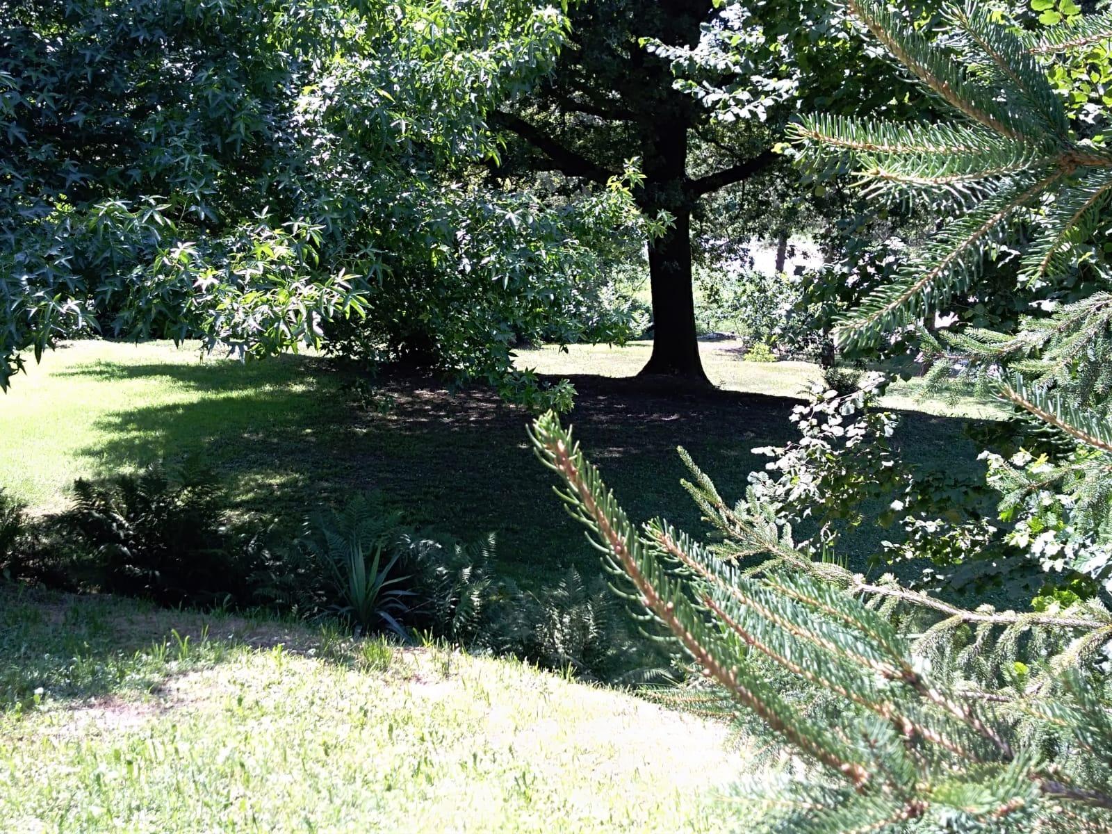 vista panoramica del giardino