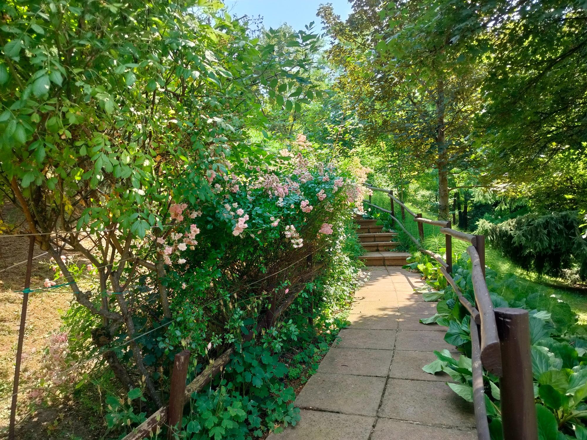 scale che portano all'ingresso principale della Villa