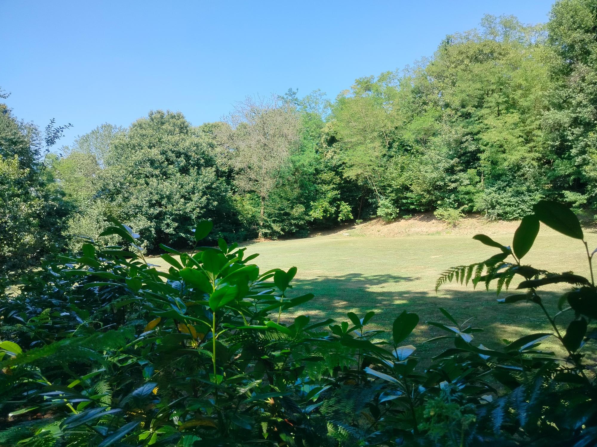 vista panoramica del giardino ennesima terza piana ma sopra la villa
