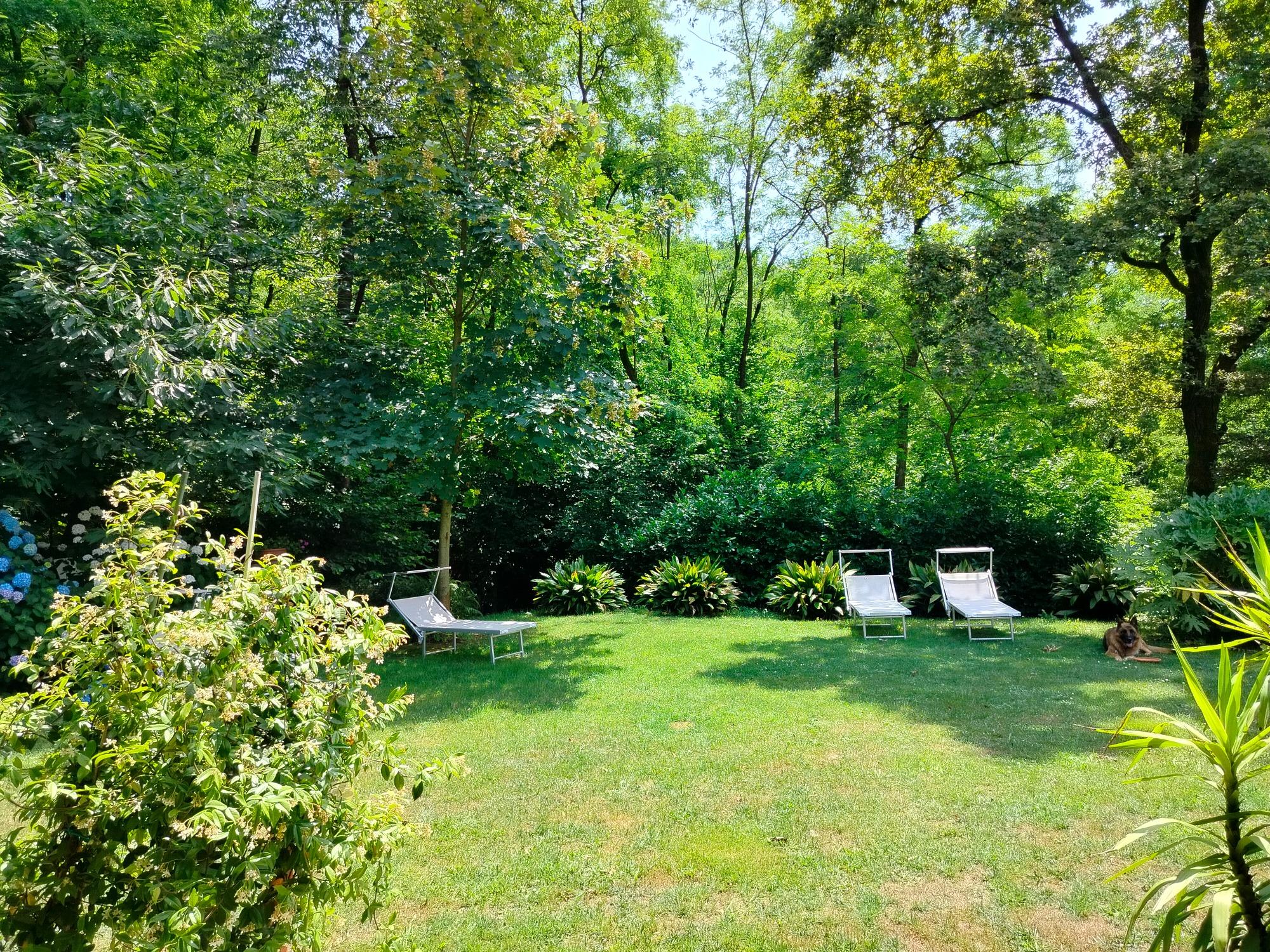 sdraio disponibili sempre in mezzo al Parco Naturale