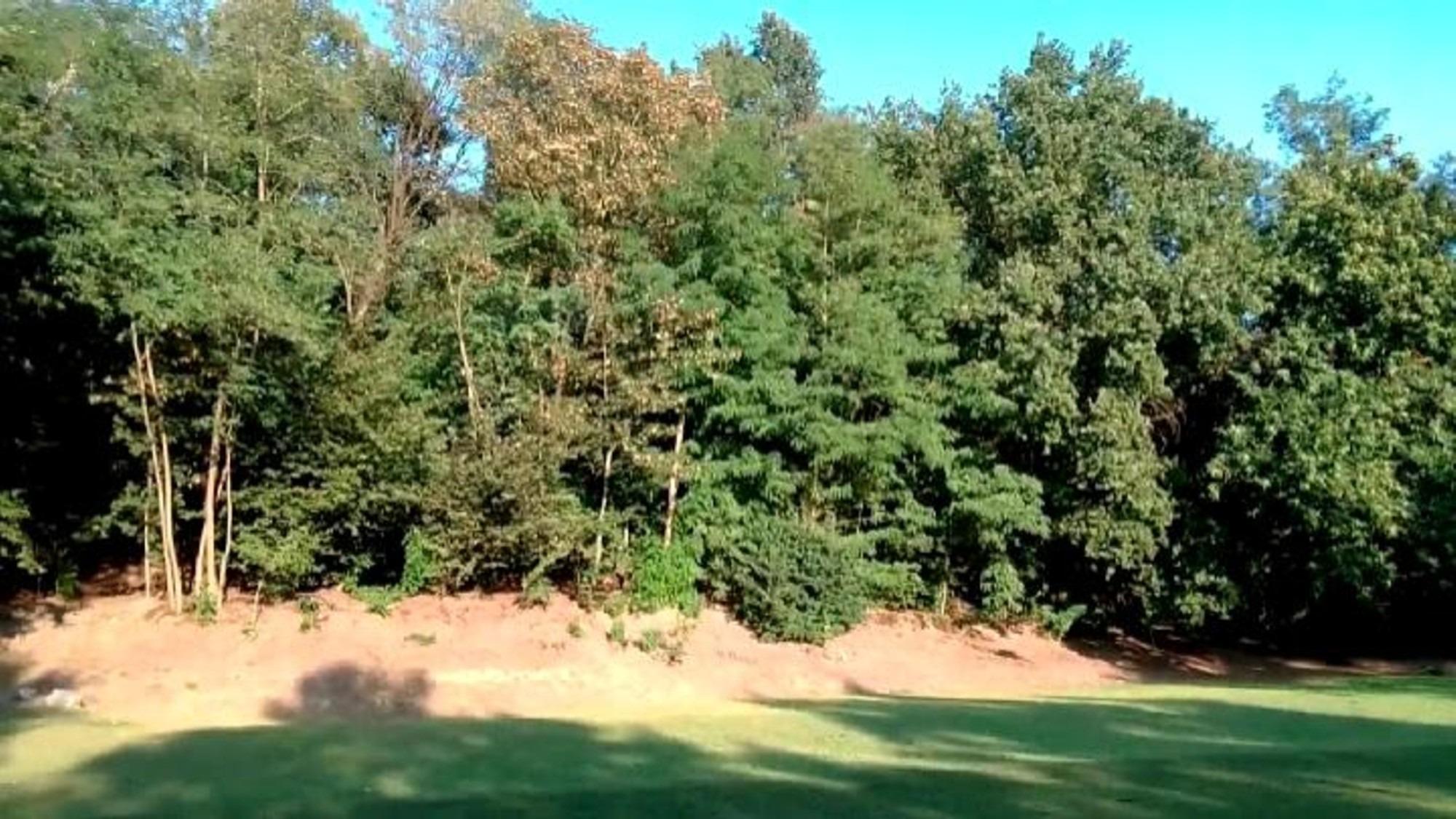 vista panoramica giardino ennesima terza piana ma sopra la Villa