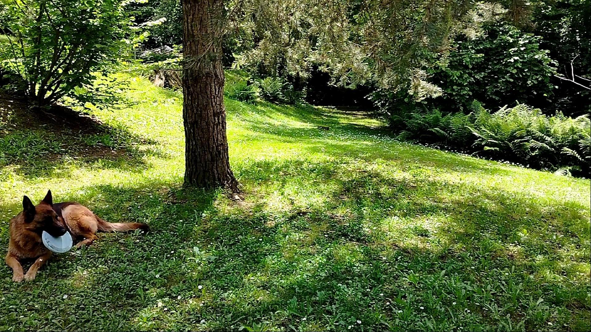 prima piana a valle salendo la strada di ingresso