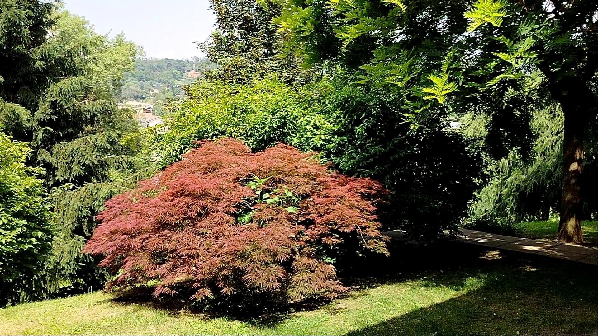 vista giardino ingresso alla Villa